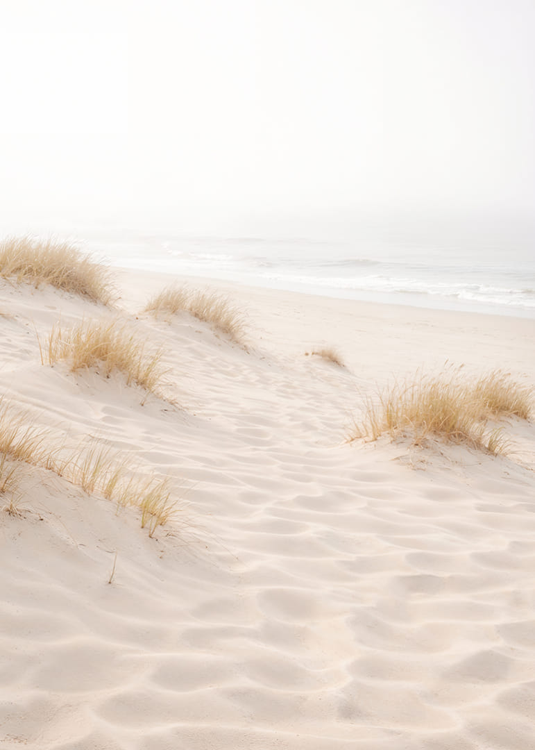 Soft sand and fog create a dreamlike beach atmosphere.-12