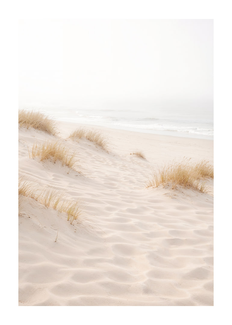 Soft sand and fog create a dreamlike beach atmosphere.-12