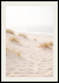 Soft sand and fog create a dreamlike beach atmosphere.-2