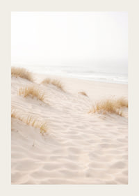 Soft sand and fog create a dreamlike beach atmosphere.-3
