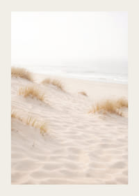 Soft sand and fog create a dreamlike beach atmosphere.-3