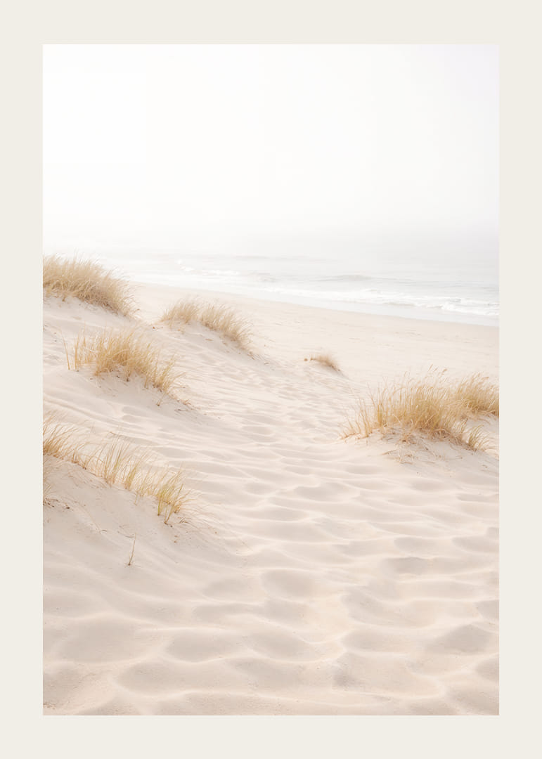 Soft sand and fog create a dreamlike beach atmosphere.-12