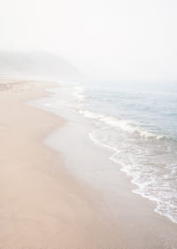Soft morning mist sweeps over a quiet shoreline.-7