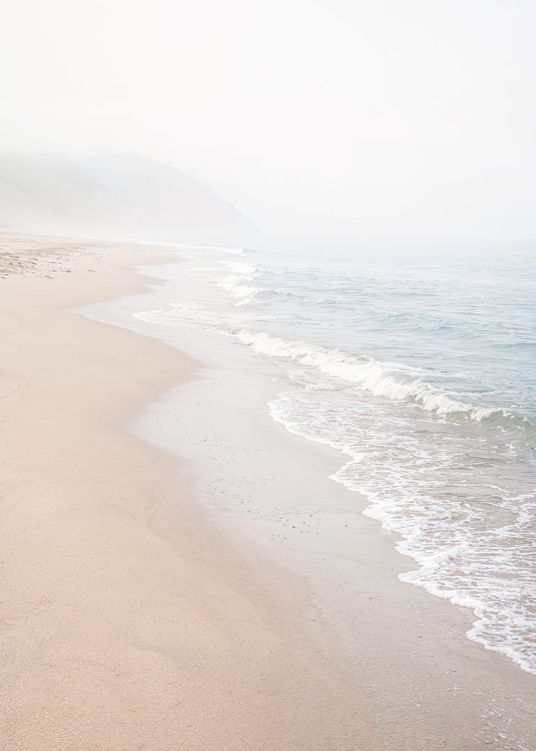 Soft morning mist sweeps over a quiet shoreline.-12