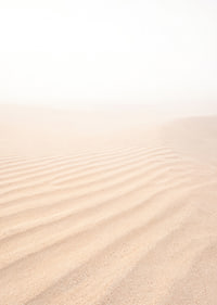 Soft sand mixes with a misty horizon and creates tranquility.-7