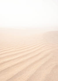 Le sable fin se mêle à l'horizon brumeux et crée une atmosphère de tranquillité.-7