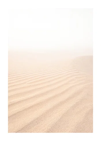 Poster Desert Elegance