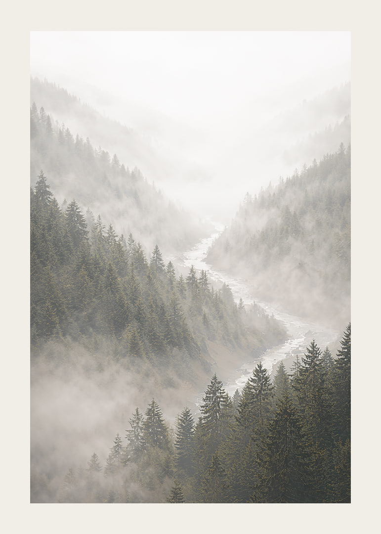 Magical mountains in fog create a peaceful harmony.-12