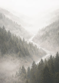 Magical mountains in fog create a peaceful harmony.-7