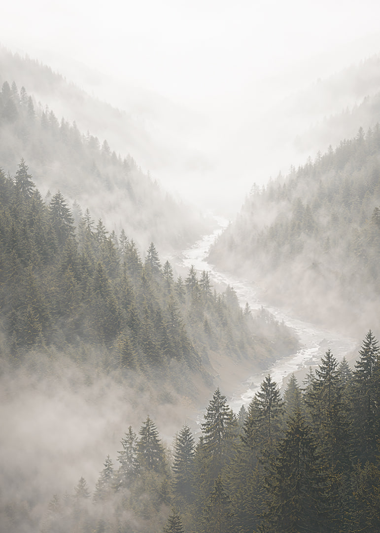 Magical mountains in fog create a peaceful harmony.-12