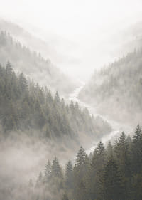 Des montagnes magiques enveloppées de brume créent une harmonie paisible.-7