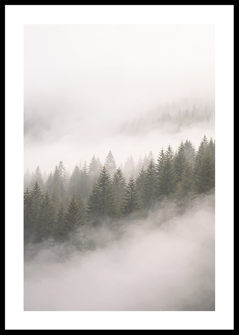 Mist-shrouded pine trees create a sense of calm and mystery.-12