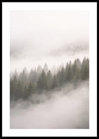 Les pins enveloppés de brume créent une atmosphère de calme et de mystère.-0