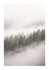 Mist-shrouded pine trees create a sense of calm and mystery.-1