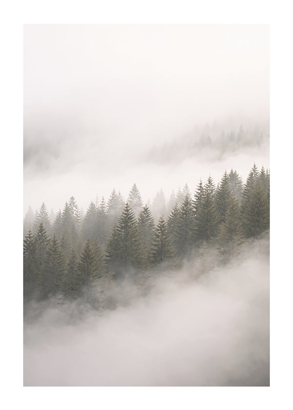 Affiche Whispering Pines