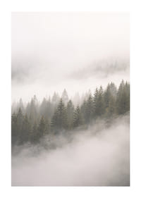 Les pins enveloppés de brume créent une atmosphère de calme et de mystère.-1