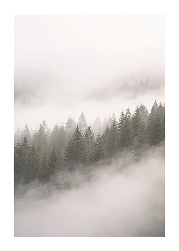 Poszter Whispering Pines