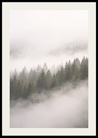 Mist-shrouded pine trees create a sense of calm and mystery.-2