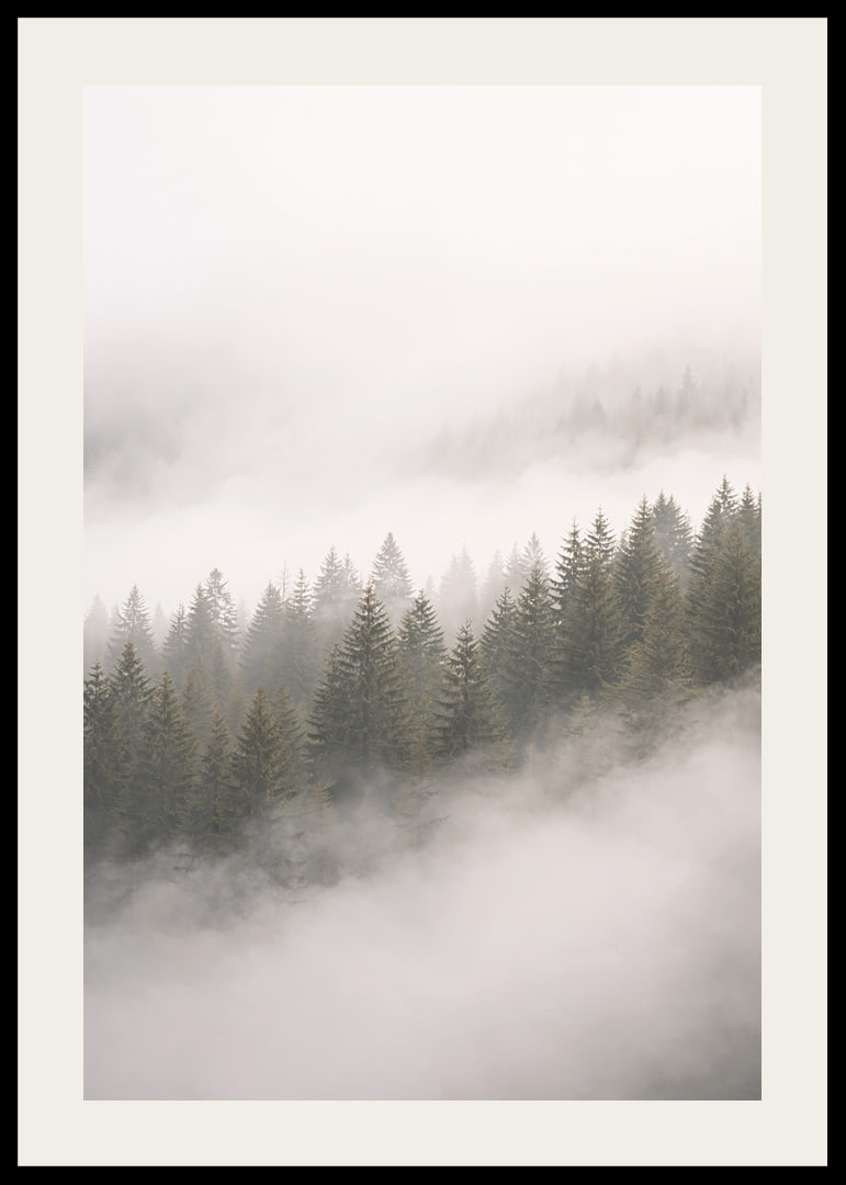 Mist-shrouded pine trees create a sense of calm and mystery.-12