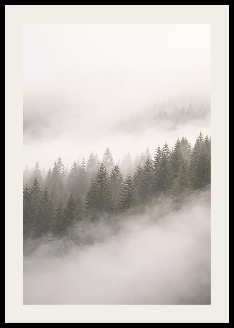 Les pins enveloppés de brume créent une atmosphère de calme et de mystère.-12