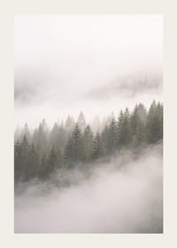 Les pins enveloppés de brume créent une atmosphère de calme et de mystère.-3