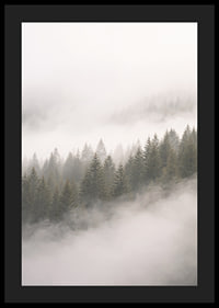 Mist-shrouded pine trees create a sense of calm and mystery.-4