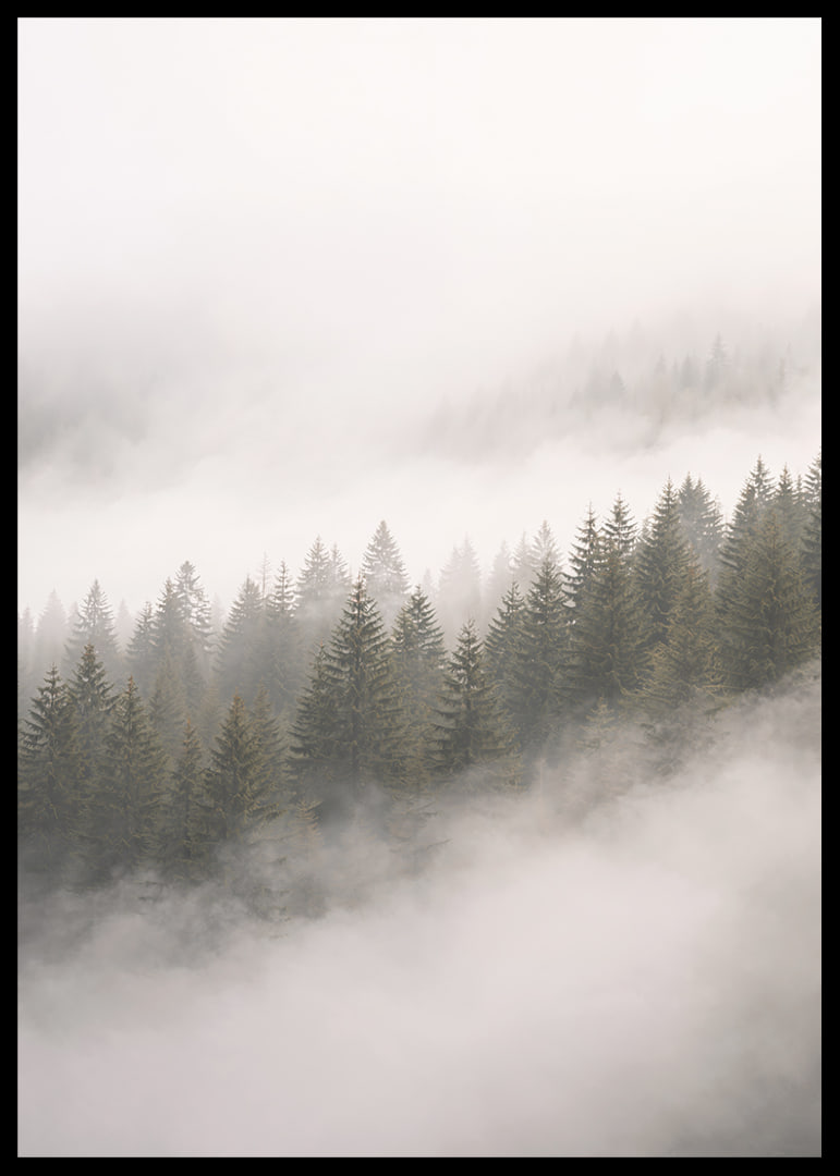 Mist-shrouded pine trees create a sense of calm and mystery.-12