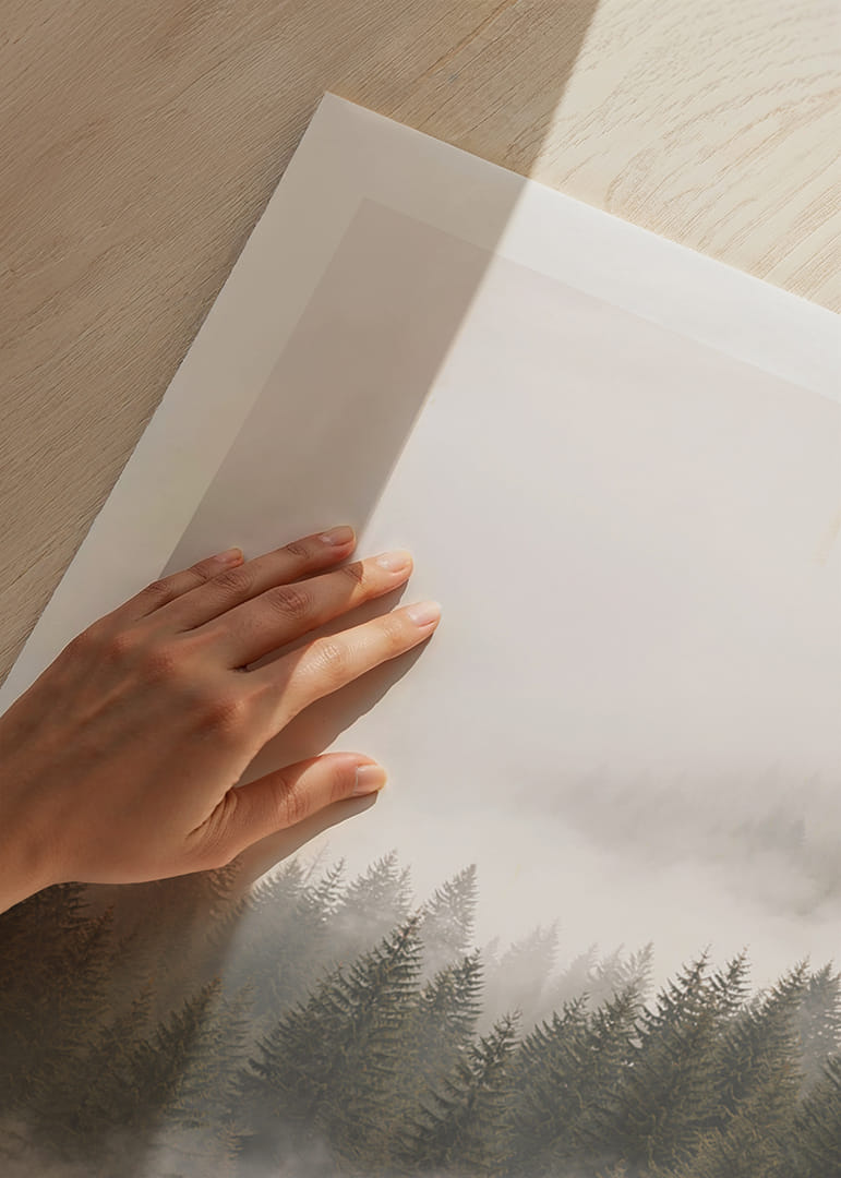 Les pins enveloppés de brume créent une atmosphère de calme et de mystère.-12