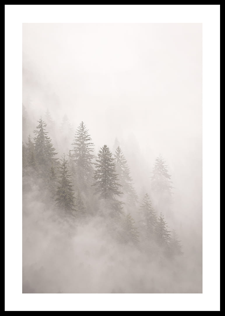 Les pins enveloppés de brume dégagent une atmosphère mystérieuse et apaisante.-12