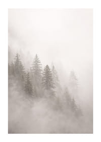 Les pins enveloppés de brume dégagent une atmosphère mystérieuse et apaisante.-1