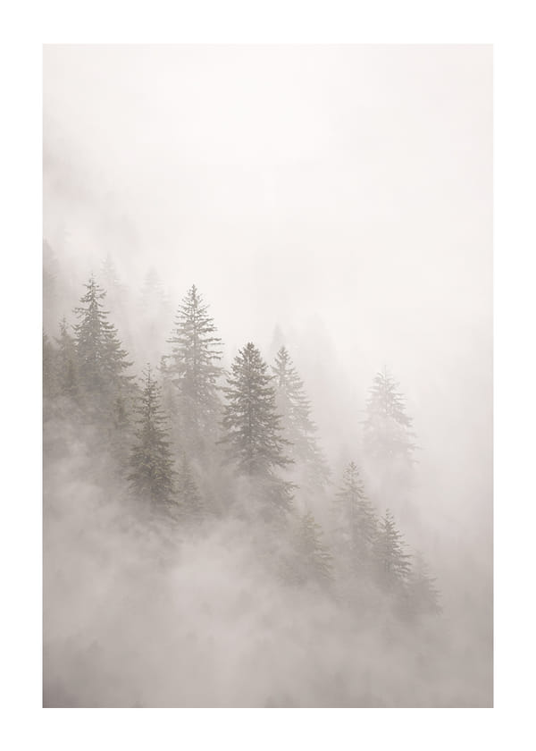 Poszter Fogs Embrace