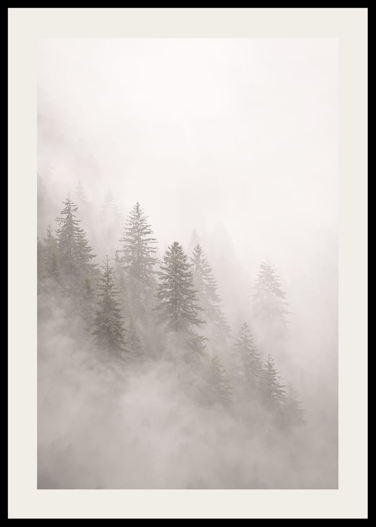 Les pins enveloppés de brume dégagent une atmosphère mystérieuse et apaisante.-12