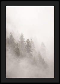 Les pins enveloppés de brume dégagent une atmosphère mystérieuse et apaisante.-4