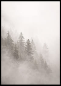 Les pins enveloppés de brume dégagent une atmosphère mystérieuse et apaisante.-6