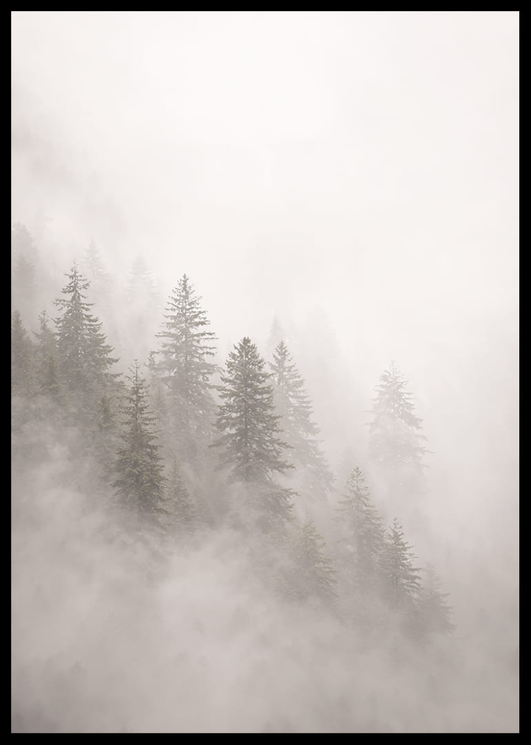 Les pins enveloppés de brume dégagent une atmosphère mystérieuse et apaisante.-12