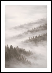 Forêt brumeuse qui disparaît dans le silence des nuages.-0