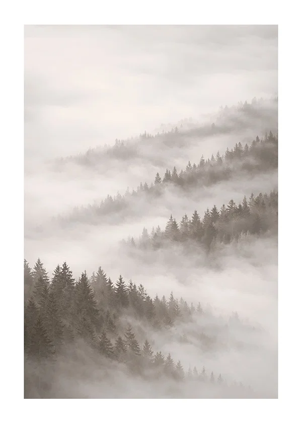 Poster Misty Pines Serenity