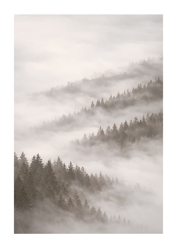 Poszter Misty Pines Serenity