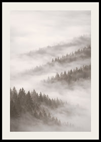 Misty forest that disappears into the silence of the clouds.-2
