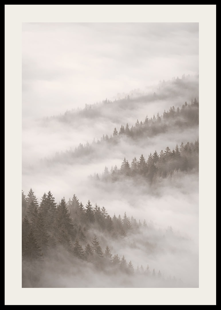 Misty forest that disappears into the silence of the clouds.-12
