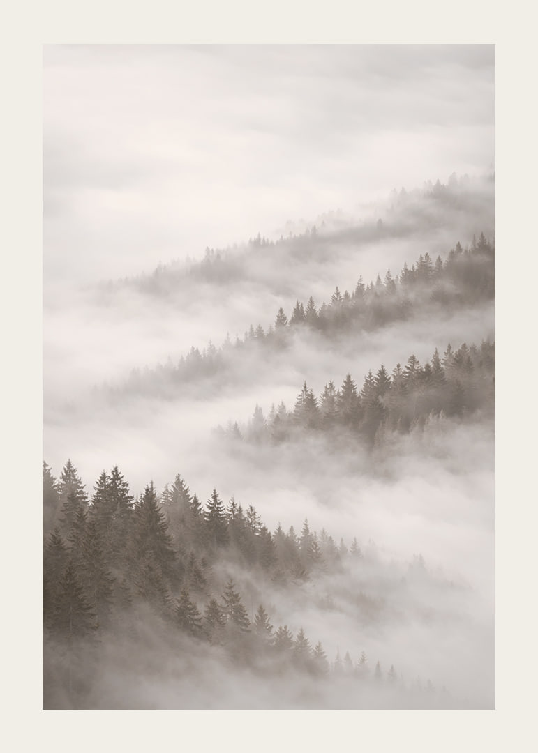 Misty forest that disappears into the silence of the clouds.-12