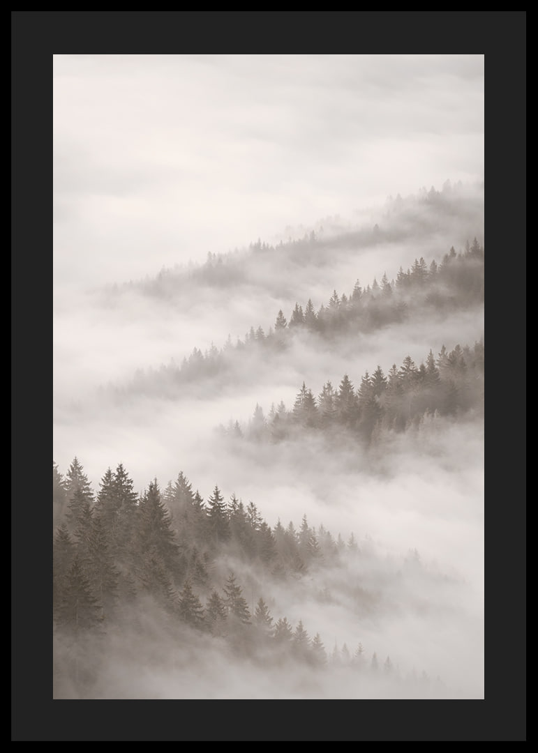 Misty forest that disappears into the silence of the clouds.-12