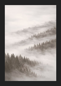 Misty forest that disappears into the silence of the clouds.-5