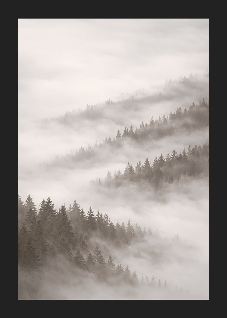 Misty forest that disappears into the silence of the clouds.-12