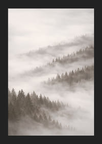 Forêt brumeuse qui disparaît dans le silence des nuages.-5