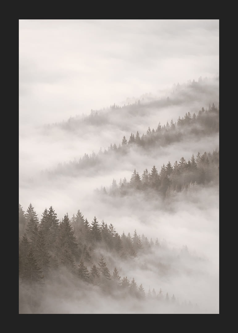 Forêt brumeuse qui disparaît dans le silence des nuages.-12