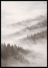 Misty forest that disappears into the silence of the clouds.-6