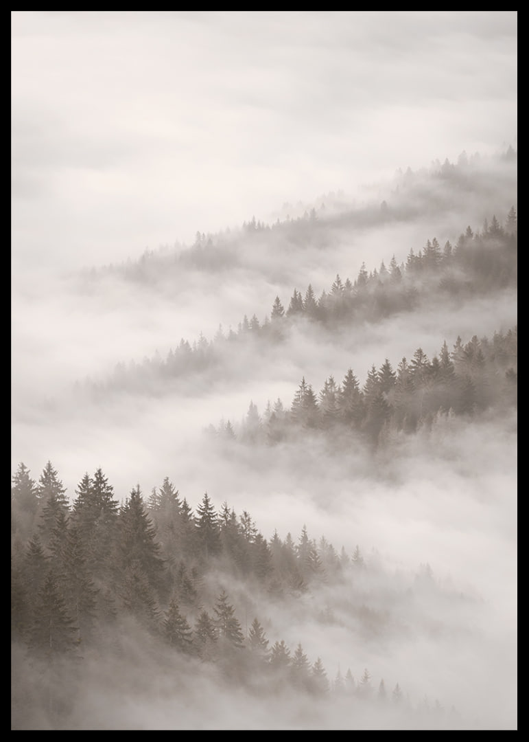 Misty forest that disappears into the silence of the clouds.-12