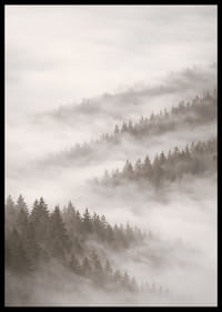 Forêt brumeuse qui disparaît dans le silence des nuages.-6