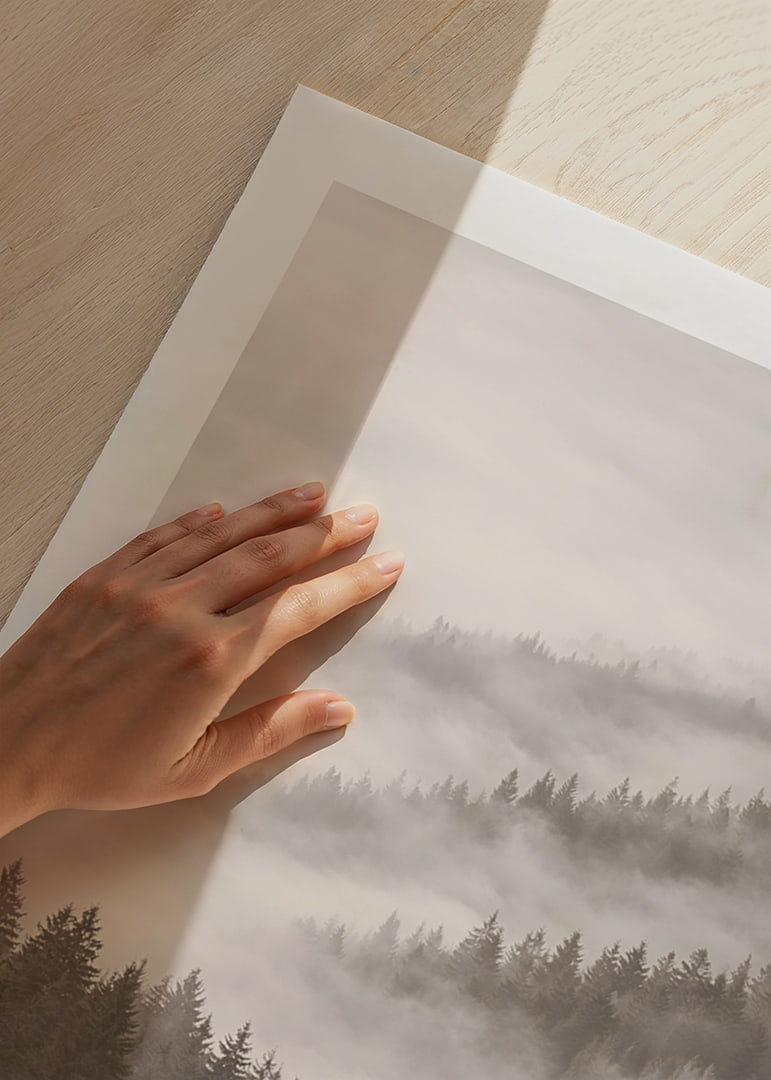 Misty forest that disappears into the silence of the clouds.-12